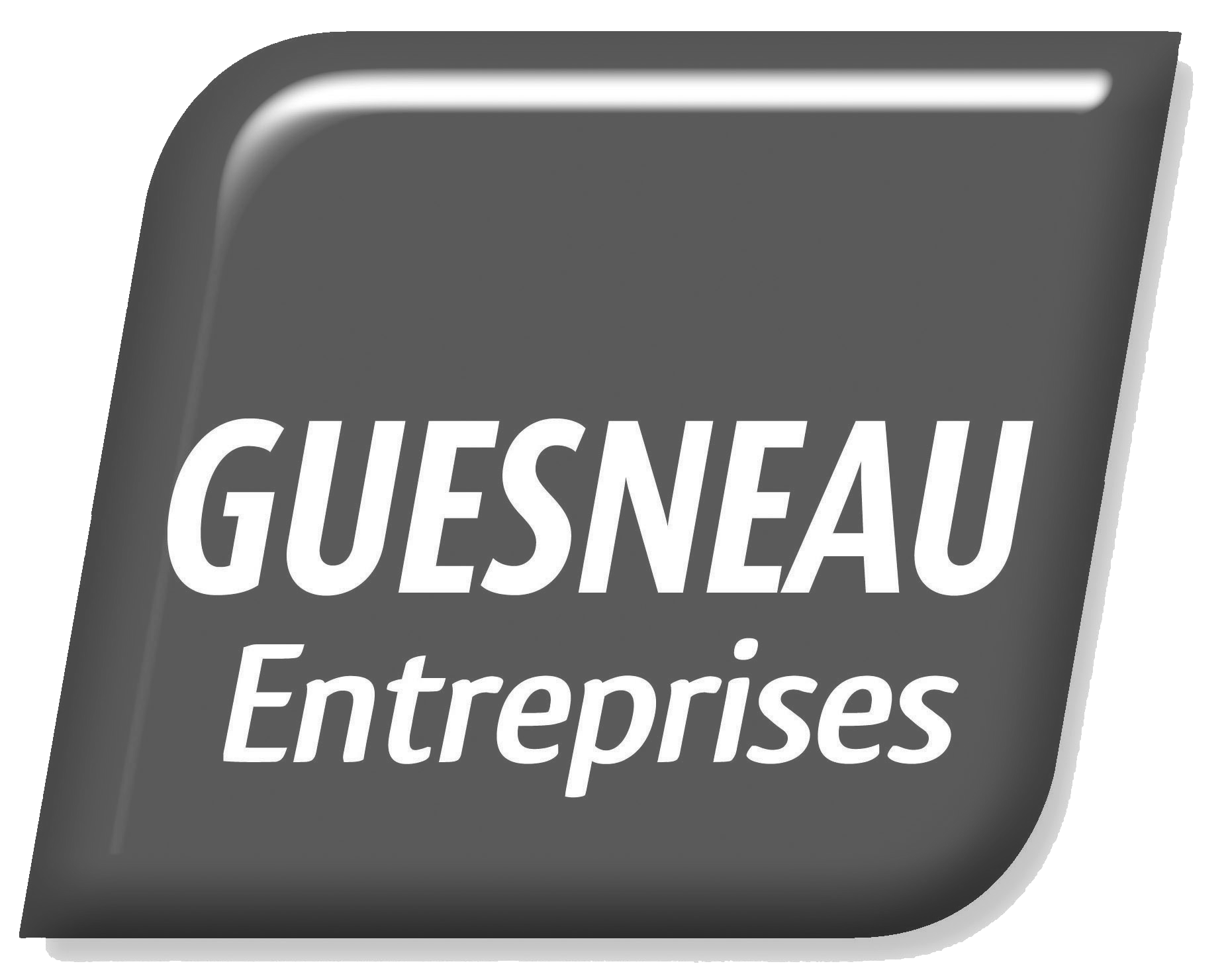 Logo Guesneau entreprises